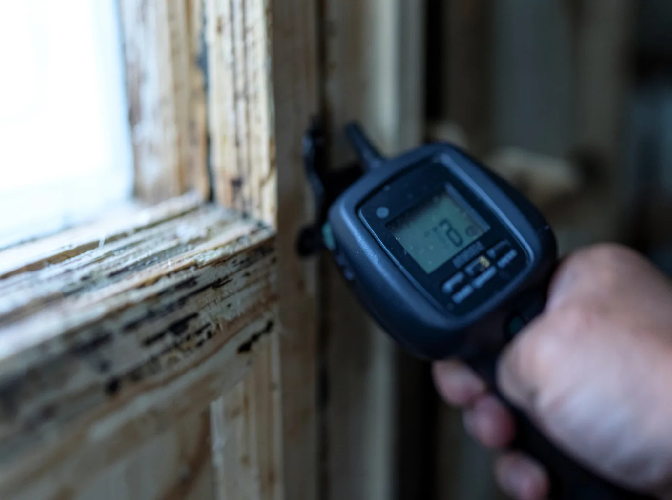 Moisture Inspection And Documentation in Saddle River, NJ